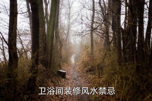 朋友衛(wèi)浴圖片真實高清大圖