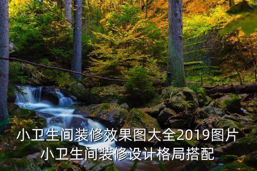 小衛(wèi)生間裝修效果圖大全2019圖片小衛(wèi)生間裝修設(shè)計(jì)格局搭配