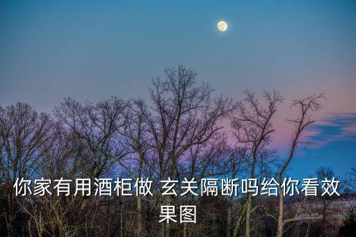 你家有用酒柜做 玄關(guān)隔斷嗎給你看效果圖