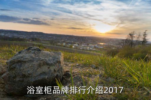心海伽藍衛(wèi)浴品牌怎么樣