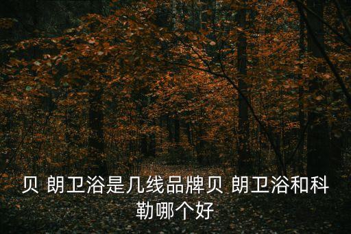 朗衛(wèi)浴是一線品牌嗎,朗詩衛(wèi)浴屬于幾線品牌