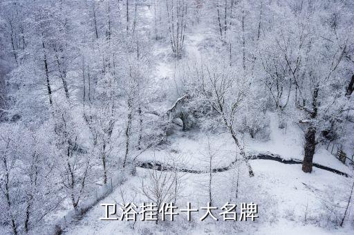  衛(wèi)浴掛件十大名牌