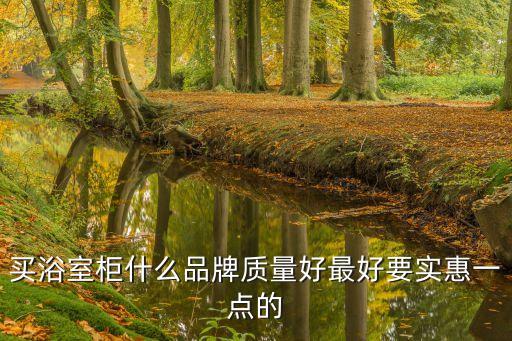 買浴室柜什么品牌質(zhì)量好最好要實(shí)惠一點(diǎn)的