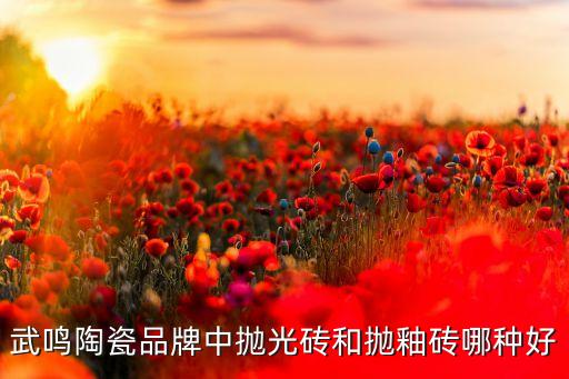 武鳴陶瓷品牌中拋光磚和拋釉磚哪種好