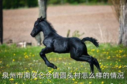 泉州市南安侖倉鎮(zhèn)圓頭村怎么樣的情況