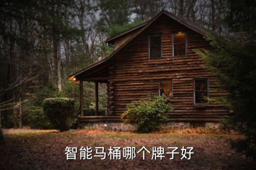 福瑞智能衛(wèi)浴品牌排行榜,衛(wèi)浴品牌FRAE福瑞集團