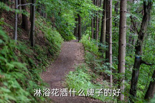 德國(guó)衛(wèi)浴品牌yetolon