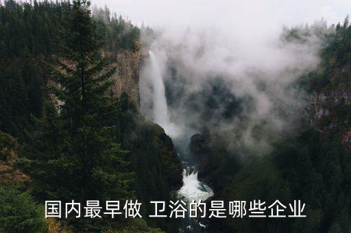 國內(nèi)最早做 衛(wèi)浴的是哪些企業(yè)