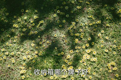  收納箱哪個牌子好