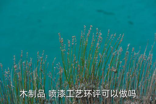 木制品 噴漆工藝環(huán)評(píng)可以做嗎