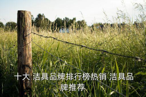  十大 潔具品牌排行榜熱銷 潔具品牌推薦