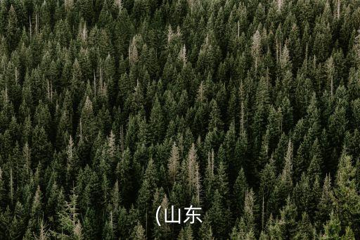(山東