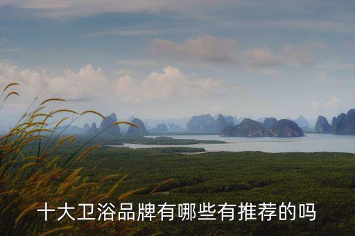 十大衛(wèi)浴品牌有哪些有推薦的嗎