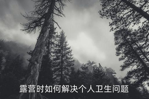 露營(yíng)時(shí)如何解決個(gè)人衛(wèi)生問(wèn)題