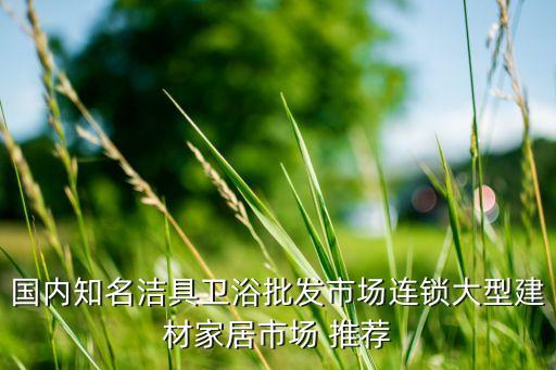 國(guó)內(nèi)知名潔具衛(wèi)浴批發(fā)市場(chǎng)連鎖大型建材家居市場(chǎng) 推薦