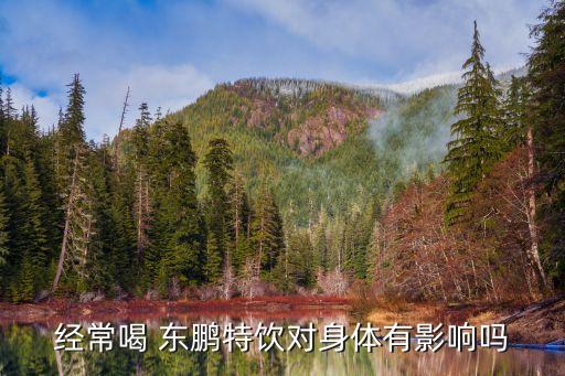 經(jīng)常喝 東鵬特飲對(duì)身體有影響嗎