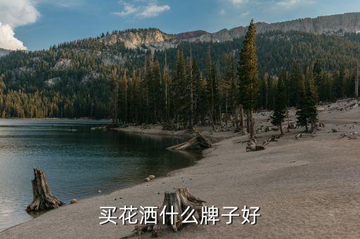 壽縣衛(wèi)浴店哪里好點(diǎn)呢電話