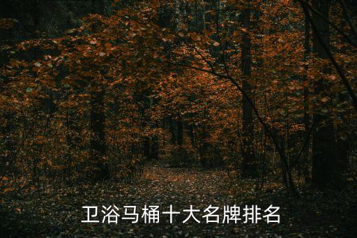  衛(wèi)浴馬桶十大名牌排名