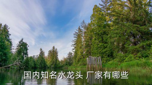 國(guó)內(nèi)知名水龍頭 廠(chǎng)家有哪些
