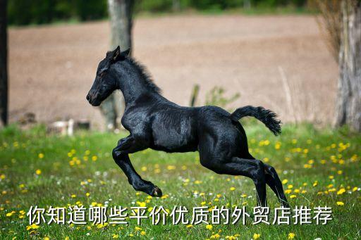 你知道哪些平價(jià)優(yōu)質(zhì)的外貿(mào)店推薦