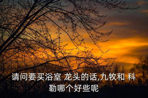 請(qǐng)問(wèn)要買(mǎi)浴室 龍頭的話,九牧和 科勒哪個(gè)好些呢