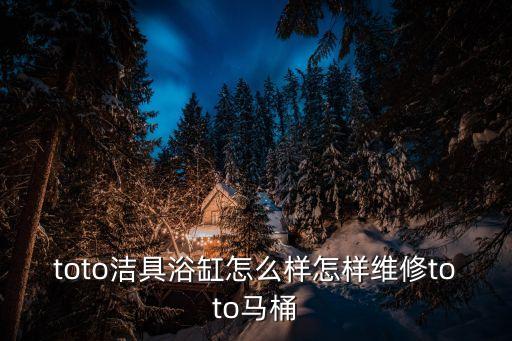 toto潔具浴缸怎么樣怎樣維修toto馬桶