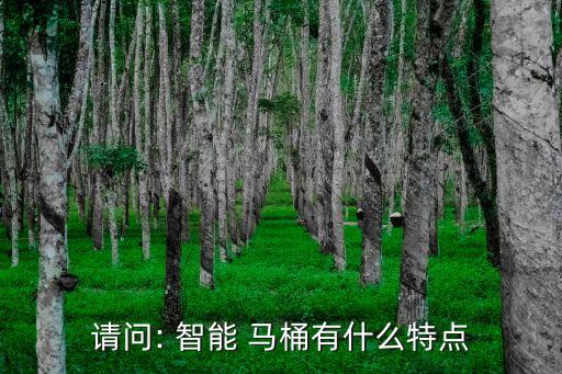 大白衛(wèi)浴智能馬桶圖片,大白智凈智能馬桶說(shuō)明書(shū)