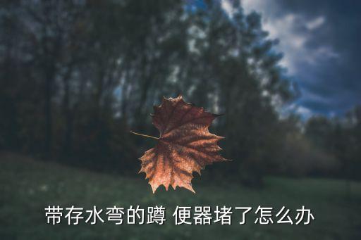 帶存水彎的蹲 便器堵了怎么辦