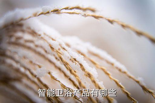 衛(wèi)浴防霧化鏡子圖片高清
