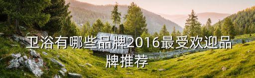 衛(wèi)浴配貨平臺(tái)有哪些品牌,依維柯配貨平臺(tái)有哪些