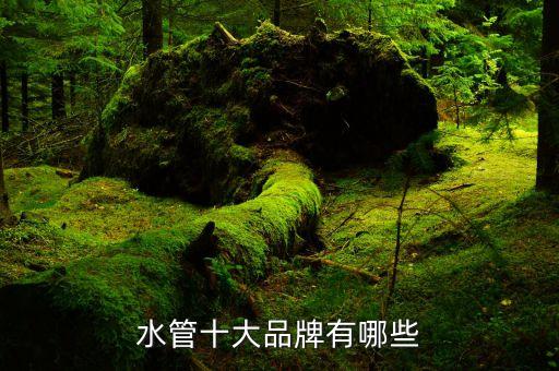 水管十大品牌有哪些