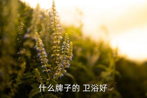 什么牌子的 衛(wèi)浴好
