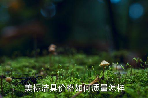  美標(biāo)潔具價(jià)格如何質(zhì)量怎樣