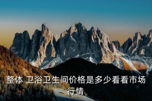 整體 衛(wèi)浴衛(wèi)生間價格是多少看看市場行情