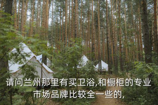 請(qǐng)問蘭州那里有買衛(wèi)浴,和櫥柜的專業(yè)市場(chǎng)品牌比較全一些的,