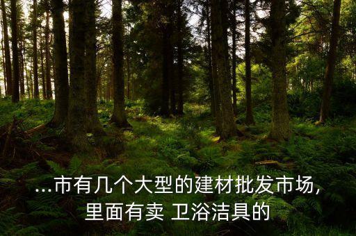 ...市有幾個(gè)大型的建材批發(fā)市場(chǎng),里面有賣(mài) 衛(wèi)浴潔具的