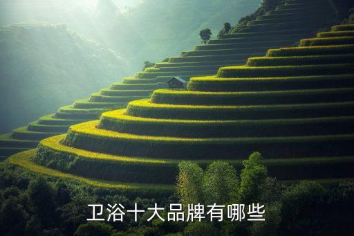 衛(wèi)浴十大品牌有哪些