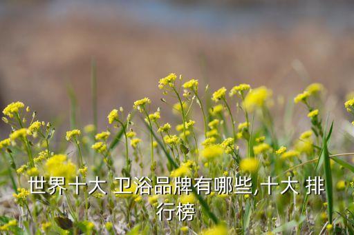 世界十大 衛(wèi)浴品牌有哪些,十大 排行榜