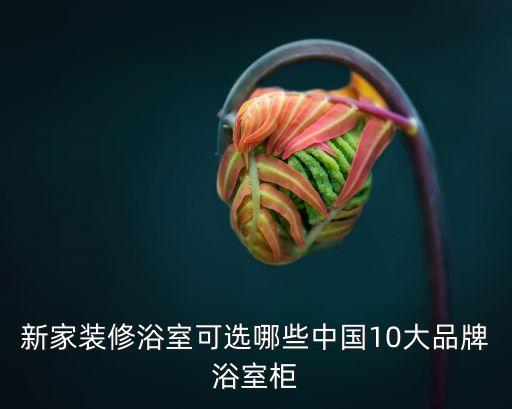 新家裝修浴室可選哪些中國(guó)10大品牌浴室柜