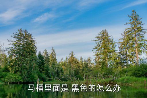 黑色衛(wèi)浴清潔馬桶圖片高清