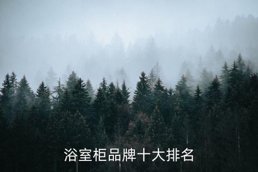 德國(guó)衛(wèi)浴品牌推薦性價(jià)比,德國(guó)手表性價(jià)比高的品牌推薦