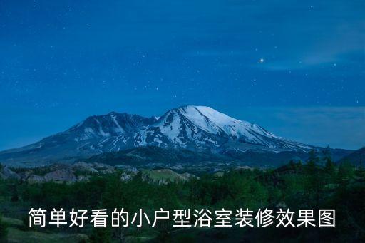 質(zhì)樸酒店衛(wèi)浴圖片大全,酒店衛(wèi)浴臺下盆圖片