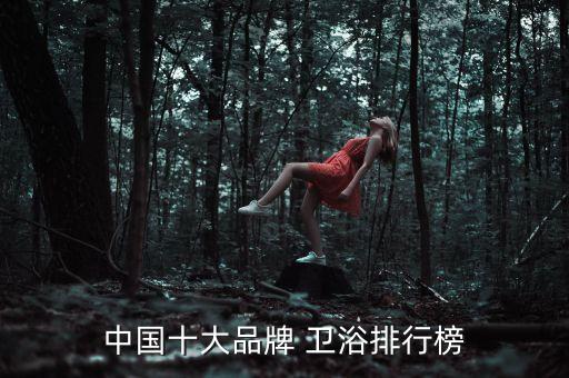 中國十大品牌 衛(wèi)浴排行榜