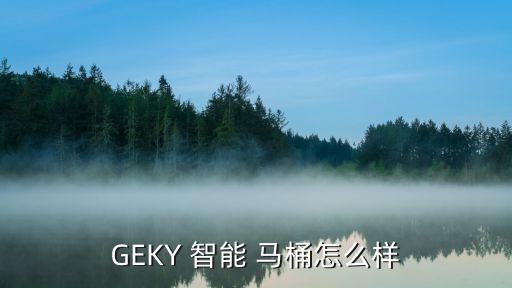 GEKY 智能 馬桶怎么樣
