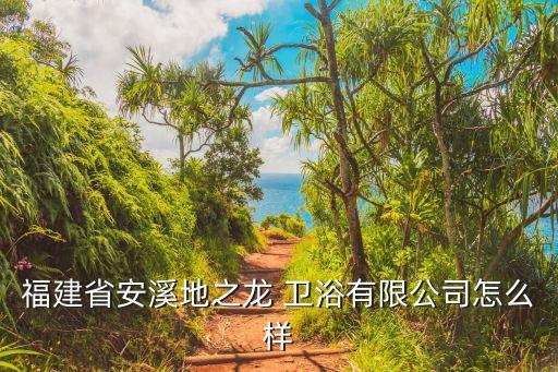 福建省安溪地之龍 衛(wèi)浴有限公司怎么樣