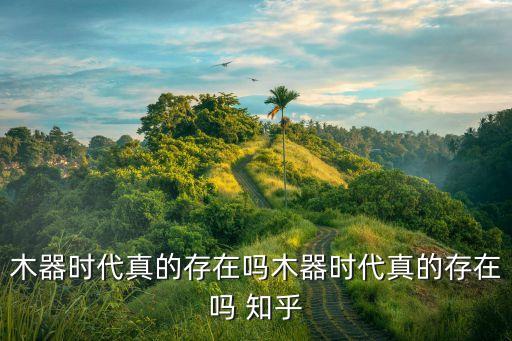 木器時(shí)代真的存在嗎木器時(shí)代真的存在嗎 知乎