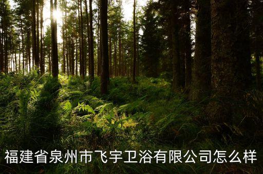 福建省泉州市飛宇衛(wèi)浴有限公司怎么樣