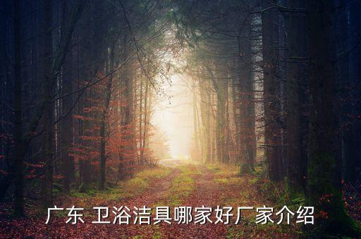 深州衛(wèi)浴裝修公司電話,深州裝修公司排名前十口碑推薦
