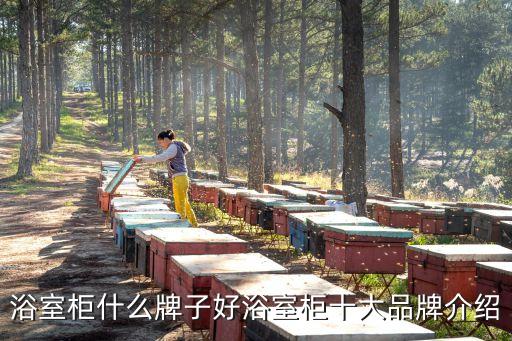 法標衛(wèi)浴新款圖片,皇標衛(wèi)浴專賣店圖片