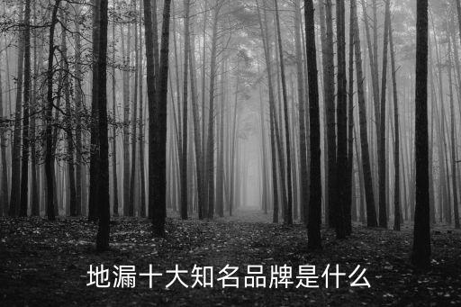 地漏十大知名品牌是什么